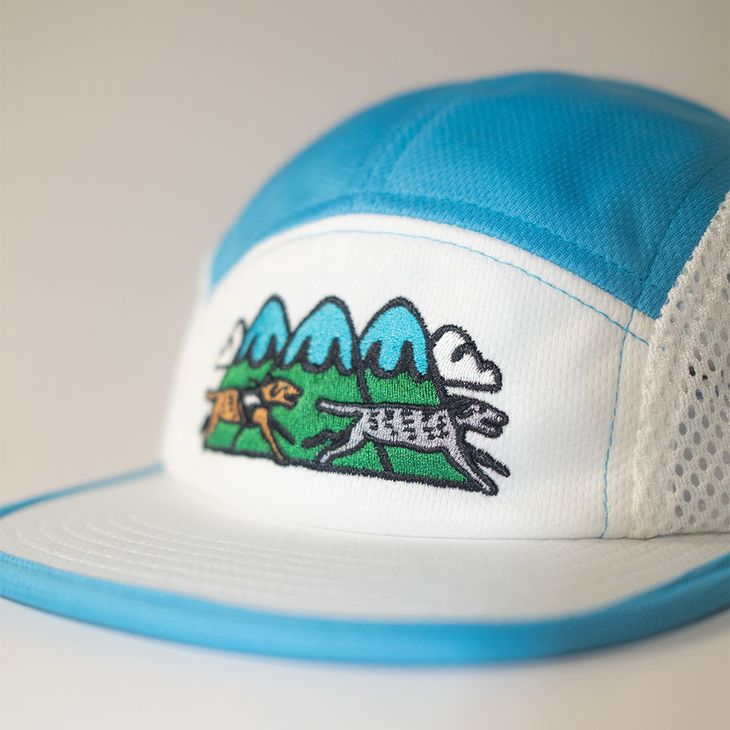 Odd Days Hat - Blue